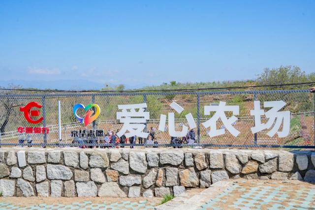 點擊看大圖