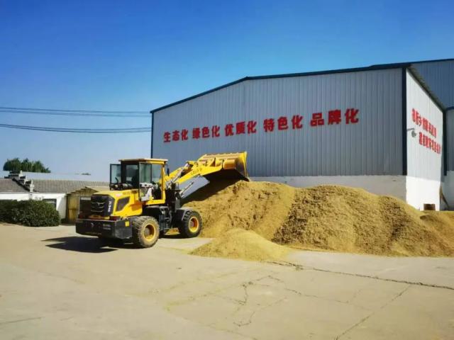 點擊看大圖