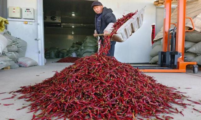 點擊看大圖