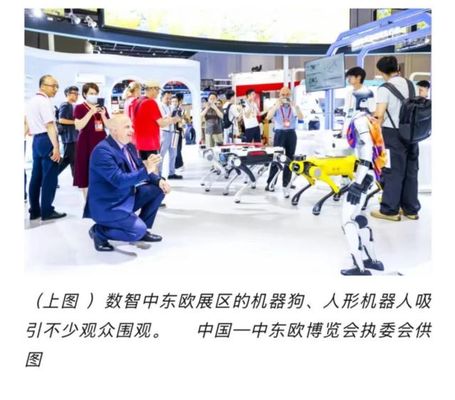 點擊看大圖