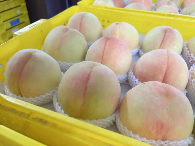 點擊看大圖