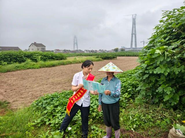 點擊看大圖