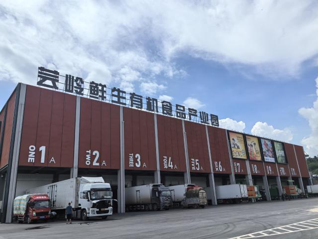 點擊看大圖