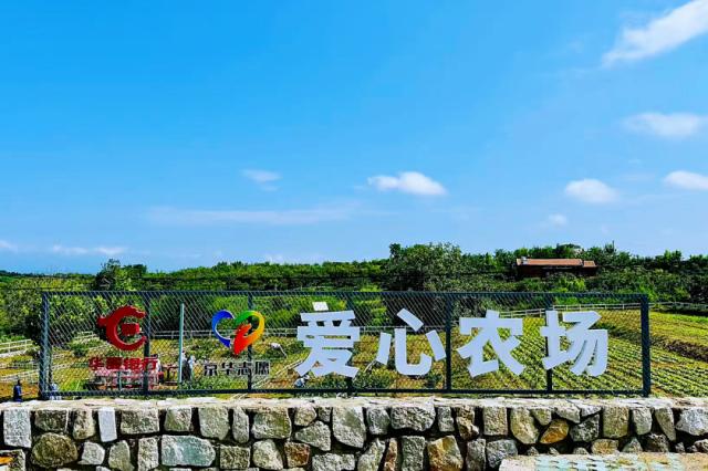 點擊看大圖