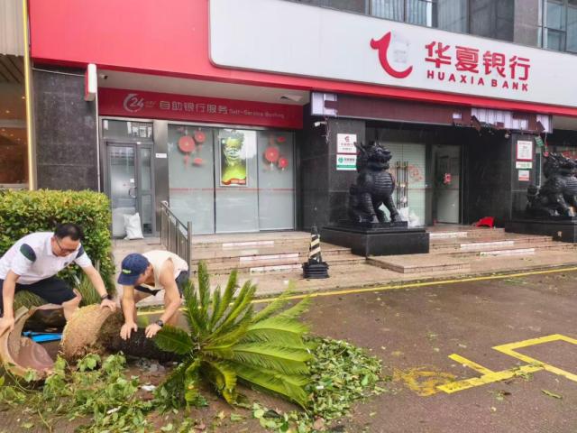 點擊看大圖